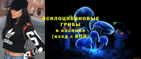 PSILOCYBIN Зеленодольск