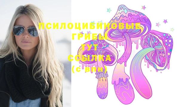 PSILOCYBIN Зеленодольск