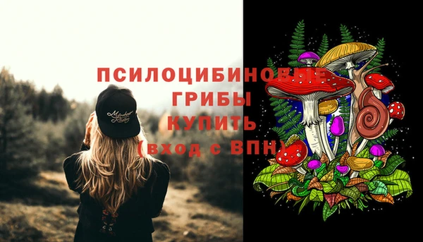 PSILOCYBIN Зеленодольск